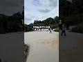 【赤字173億円】ジャングリア沖縄