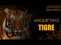 🐯 Arquétipo do TIGRE  🐯 Sons e imagens (Xamanismo)