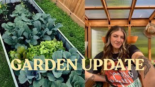 Garden update & Tour