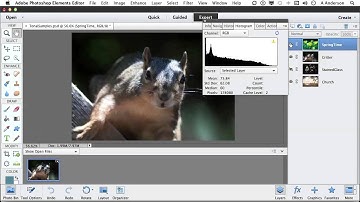 Photoshop Elements 11 Tutorial | Working with Tonal and Color Correction