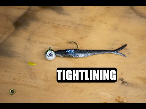 Connell and Gussy winning baits, How to mope / Damiki / tight-line