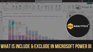What is Include & Exclude in Microsoft Power BI?