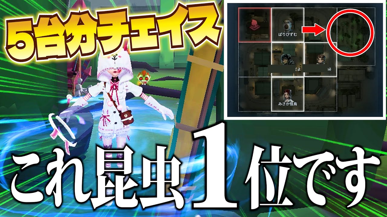 【第五人格】これが昆虫学者１位！永眠町５台分の虫チェイス！【IdentityV】