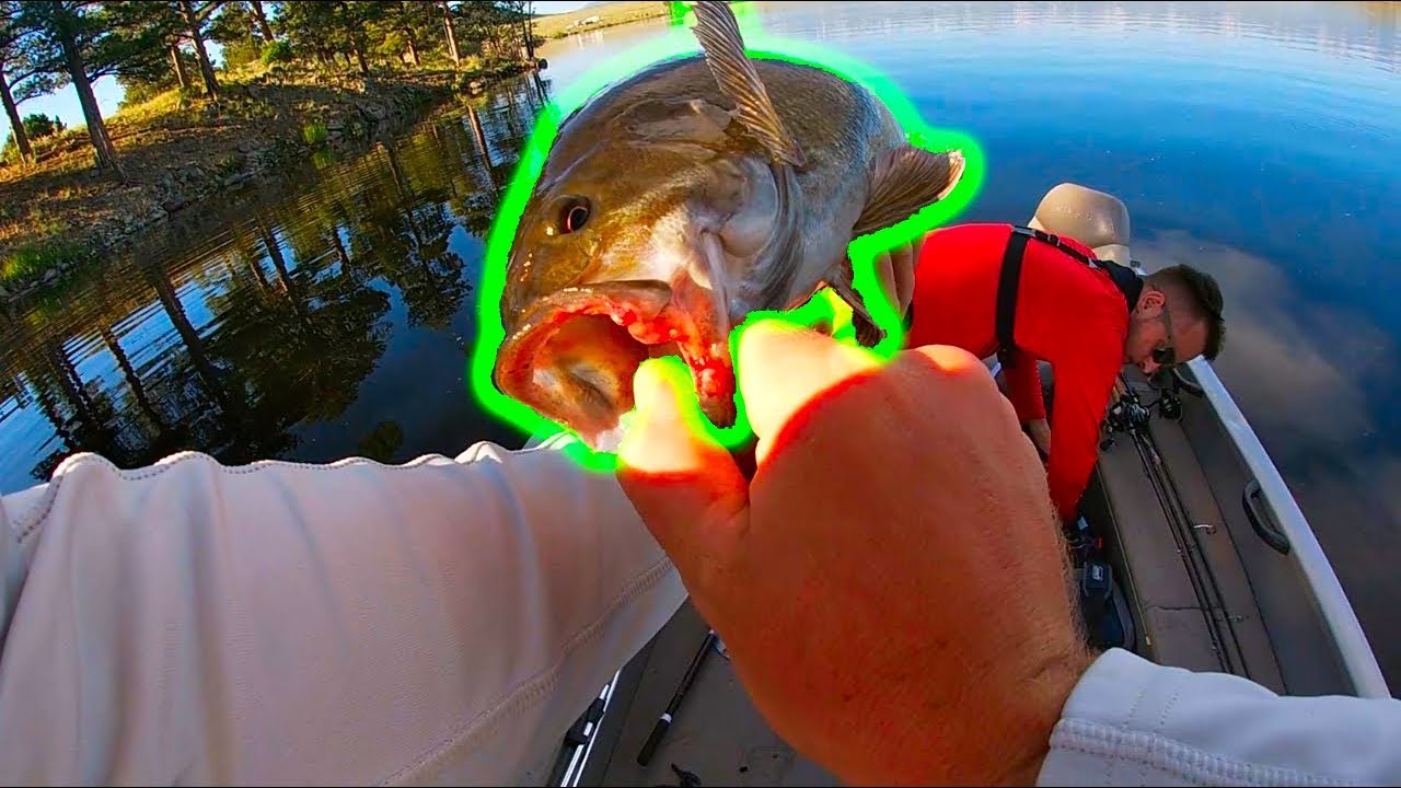 2 LAKES 1 DAY ( Colorado Bass Fishing ) - YouTube