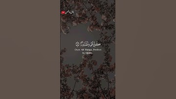 تلاوة خاشعة ومؤثرة القارى إسلام صبحي 🎧❤️‍🩹 #اكسبلور #أرح_سمعك_وقلبك #طمئن_قلبك #اسلام_صبحي