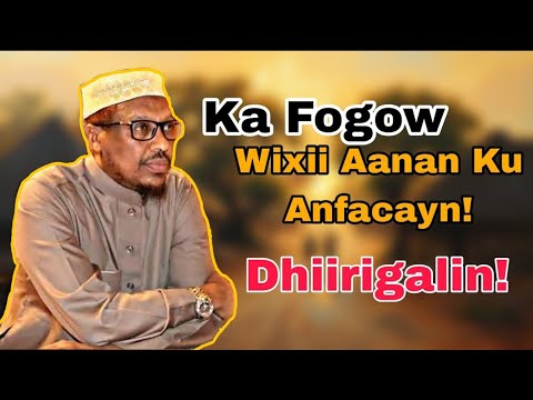 Ka Fogow Wixii Aanan Ku Anfacayn Waano Sheikh Mustafe Xaaji Harun Wacdi