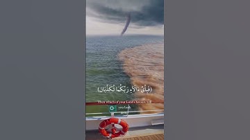#تلاوة _خاشعة-من سورة (الرحمن) للشيخ/ماهر المعيقلى