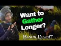 Teddy twighlites tips to keep gathering longer in black desert online