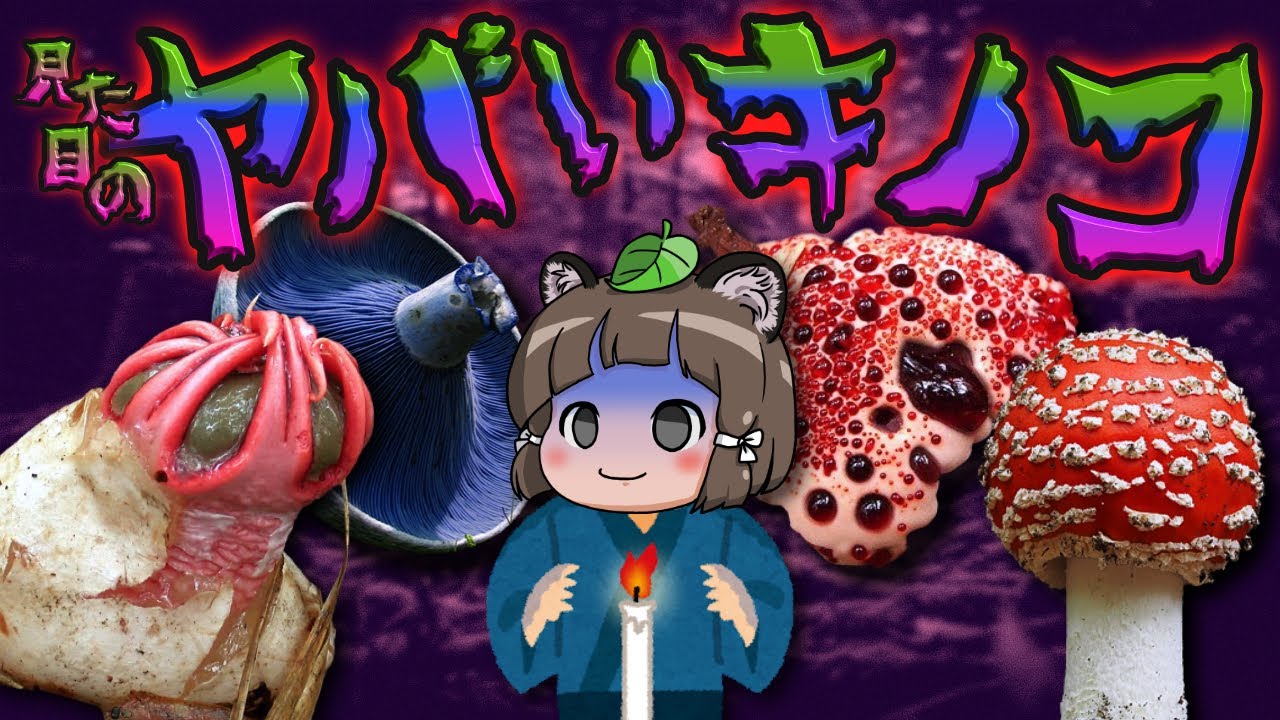 【混沌】まるでバケモノ！？見た目がヤバすぎるキノコ7選