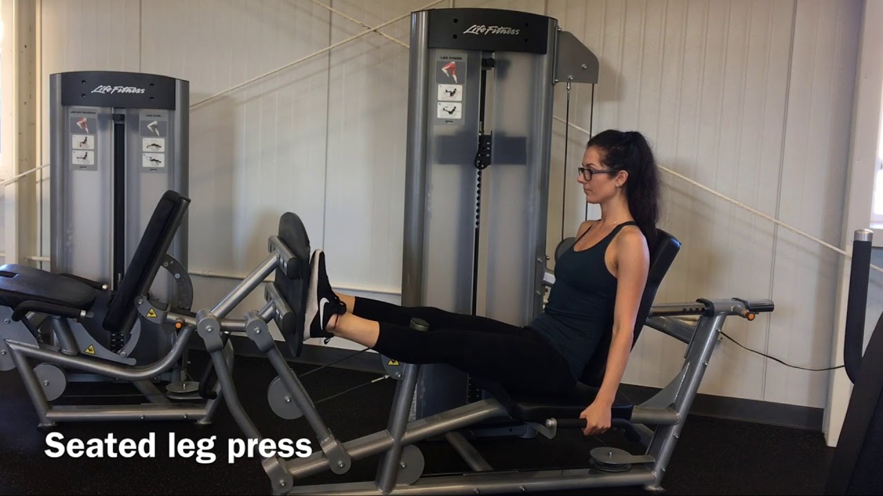 alaska state fair 2019 Seated Leg Press