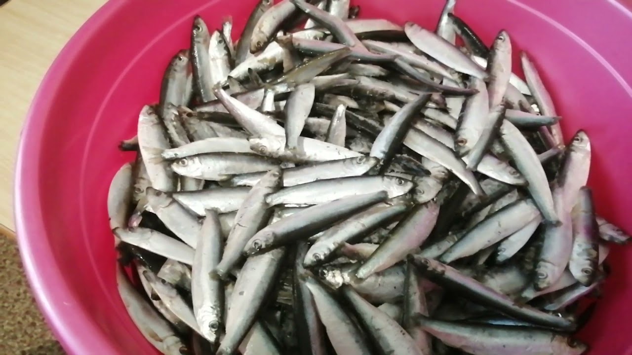 Автоклав. Кальмары и фасоль!