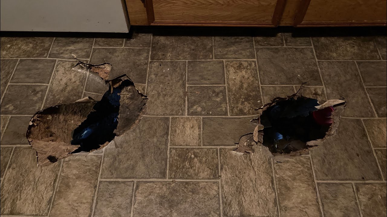 Unsafe living conditions How many health violations on rental property? YouTube