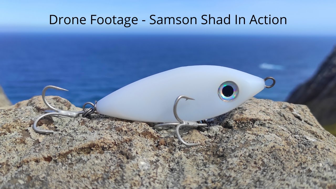 Shad – SamsonFishing