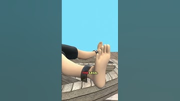 Thumbnail of The Breaking Wheel Torture Method