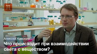 Теория взаимодействия света и вещества в наноструктурах - Алексей Кавокин