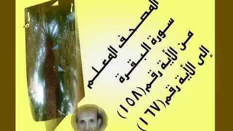 المصحف المعلم سورة البقرة من الأية رقم(158)إلى الأية رقم(167)جمال على العارف