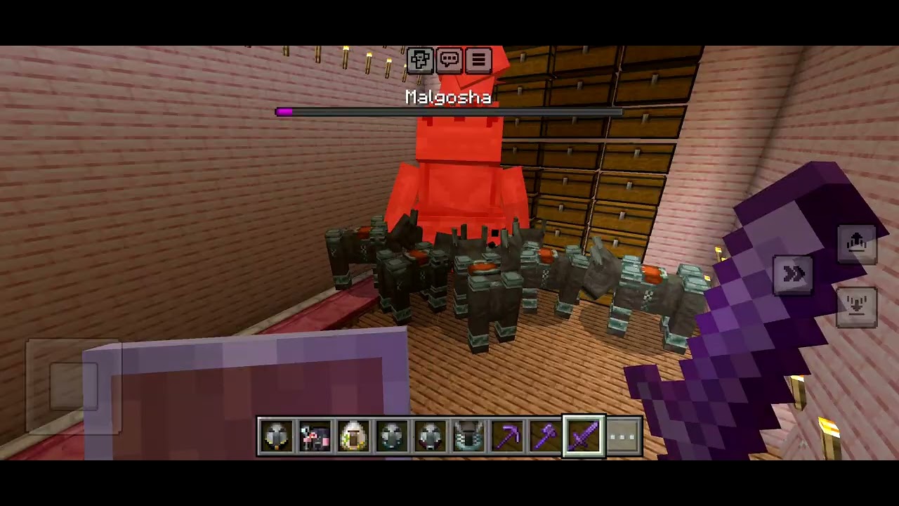 Minecraft - Ravagers And Malgosha Vs Twin Chef 