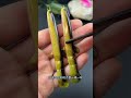 Simulated loach lure soft bait because fish love to eat loach
