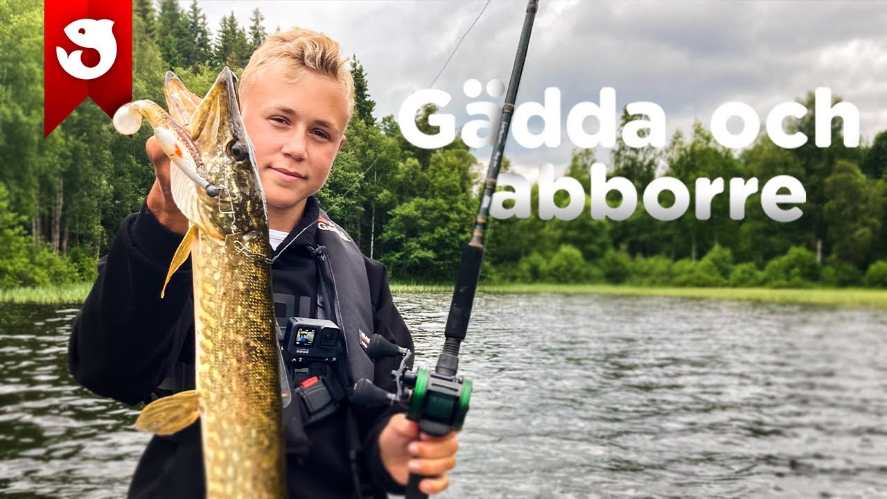 GÄDDA och ABBORRE i en liten sjö!