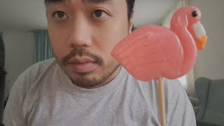 ASMR Flamingo Lollipop 🍭 Eating Sounds & Chinese Trigger Words