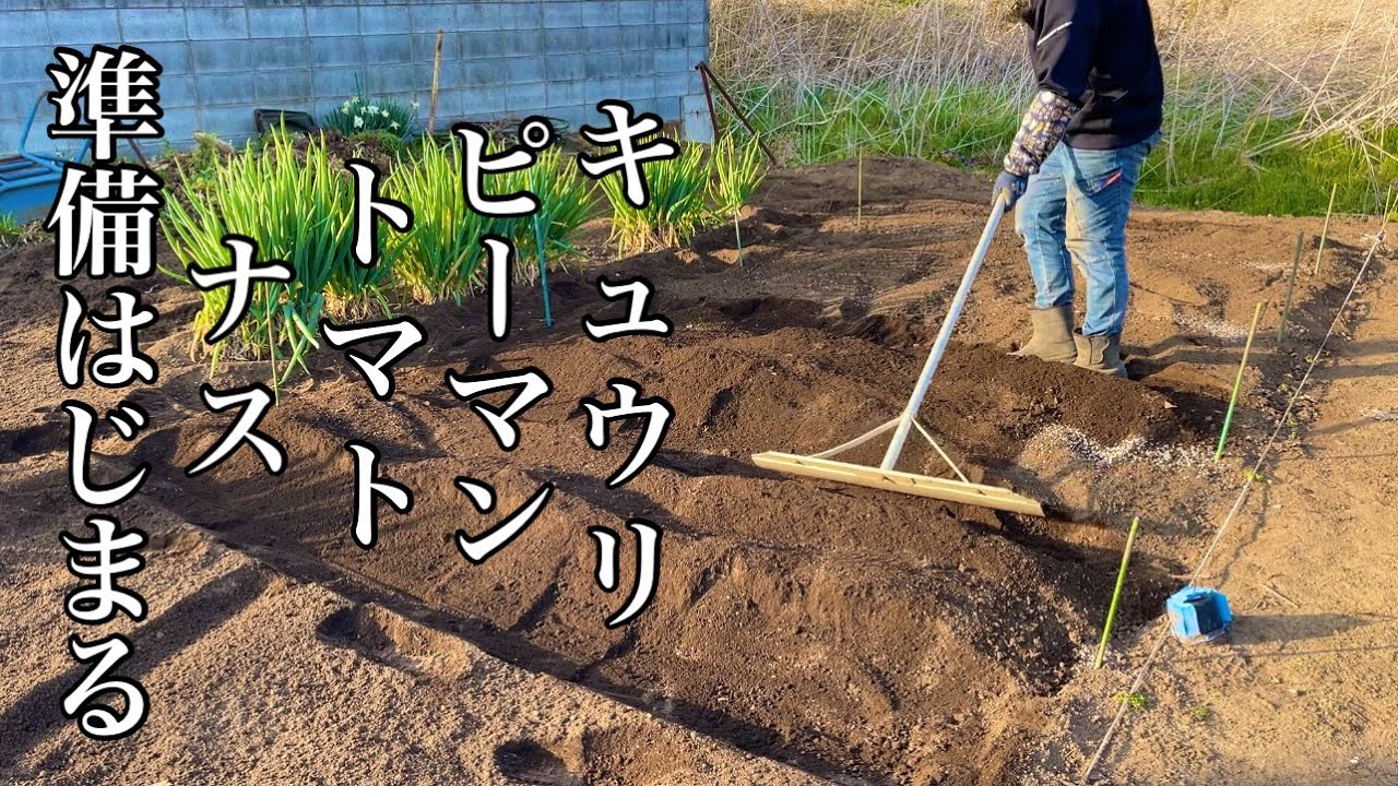 夏野菜の畝に元肥を入れて畝作りの準備だ！日本家庭菜園初心者代表 22