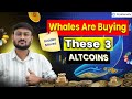 3 Altcoins Whales Are Secretly Buying | Top Crypto Picks Before the Bull Run | Don’t Miss This Move