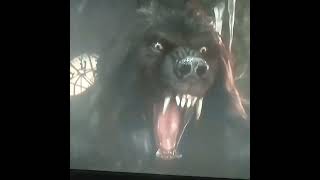 Famous This is Not a Werewolf Net Worth