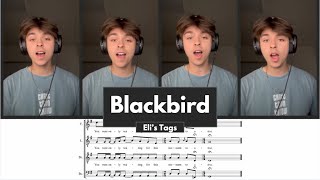 Blackbird