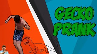 Gecko Prank