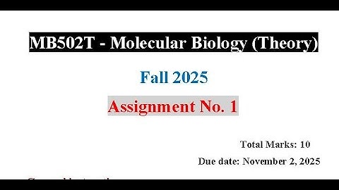 MB502T Assignment 1 Solution Fall 2025