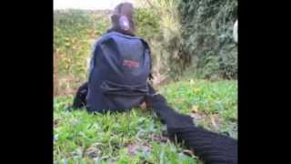 Majané Joref 2013 ¿Te lo vas a perder - Etz Jaim