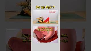 Bài Tập Kegel Se Khít Âm Đạo, Chữa Sa Âm Đạo, Bệnh Trĩ, Tiểu Són, Tiểu Dắt,..