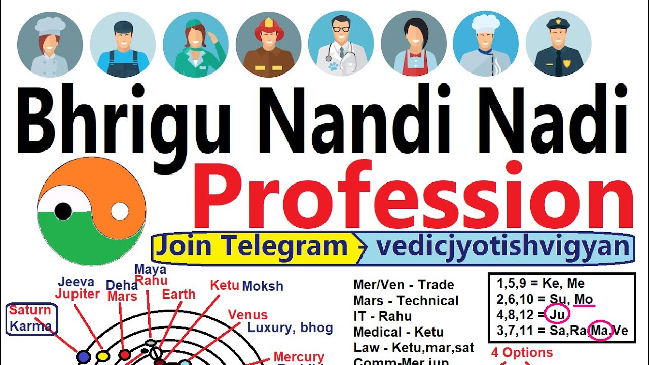 How to choose profession as per Bhrigu nandi nadi (BNN) in Astrology
