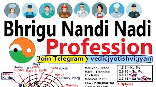 How to choose profession as per Bhrigu nandi nadi (BNN) in Astrology