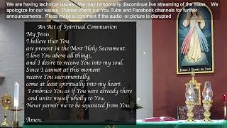 Memorial of Saint Francis of Assisi - 10-04-2024