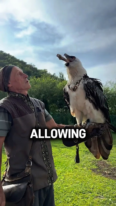 The Bone Eating Bird (@falcon_almaty)
