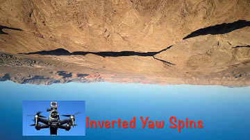 DJI FPV Drone Inverted Yaw Spins