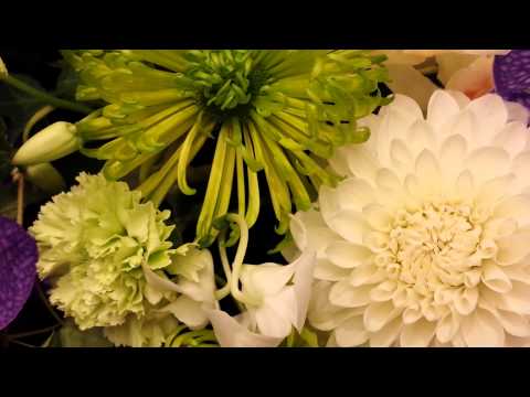 たしかなこと(ピアノ伴奏)