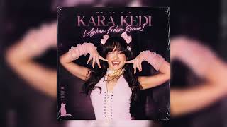Melis Fis - Kara Kedi (Ayhan Erdem Remix)