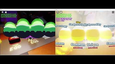 HATCHING SHINY PRINCE PUMPKIN ON CAMERA MS2 - 1/100M (24TH SECRET) (First Shiny Secret)
