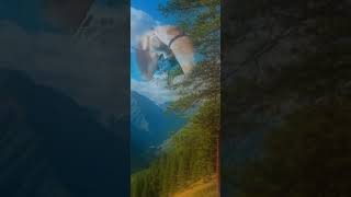 Варган#хобби #этномузыка #увлечение
