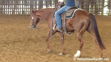 Coyote Peak Creek - easy walk, jog, lope, stops! - ValleyViewRanch.net