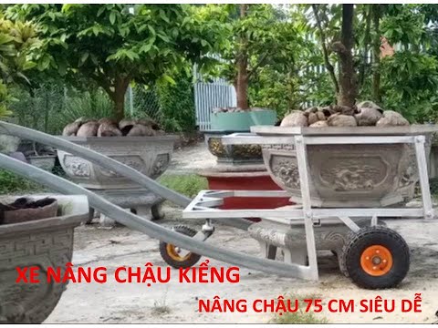 Video: Xe đẩy làm vườn tự làm: hình ảnh, hướng dẫn