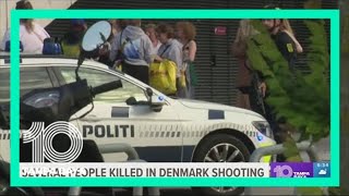Several dead in Copenhagen mall shooting; suspect arrested