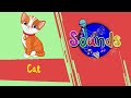 Sounds - Cat | Toyor Baby