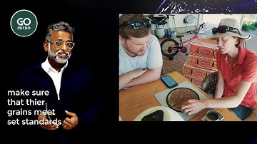 Grain Assessment with AI