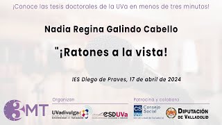 3Mt - Nadia Regina Galindo - Ratones A La Vista