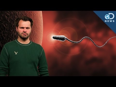 Thumbnail for the embedded element "How You're Destroying Your Sperm!"