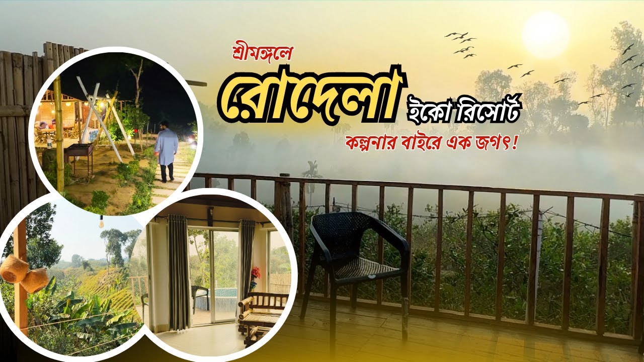 শ্রীমঙ্গলে বাজেটের মধ্যে বেস্ট ইকো রিসোর্ট|| মেঘ-কুয়াশার রাজ্য||সিলেট|| RODELA ECO RESORT-SREEMONGOL