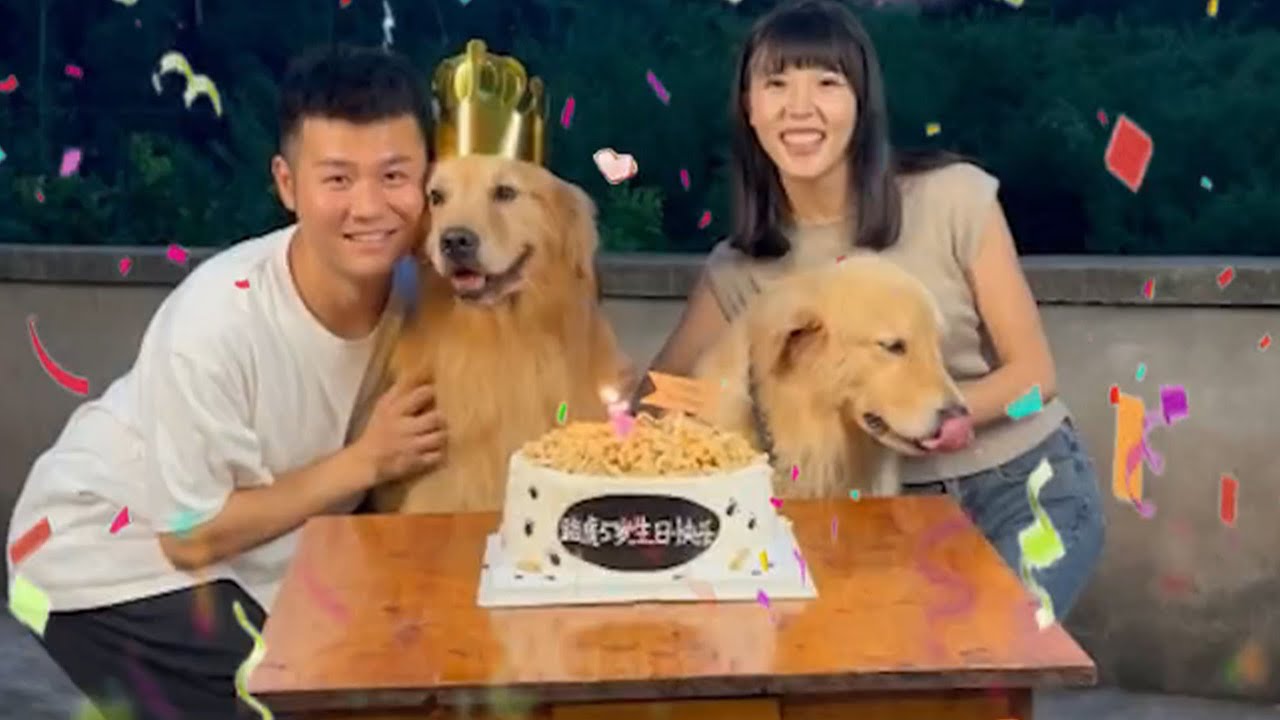 Так здорово выезжать на своей Land Rover! 